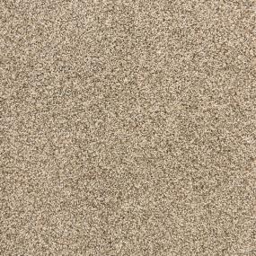Textured Saxony Barn Wood Beige/Tan Carpet