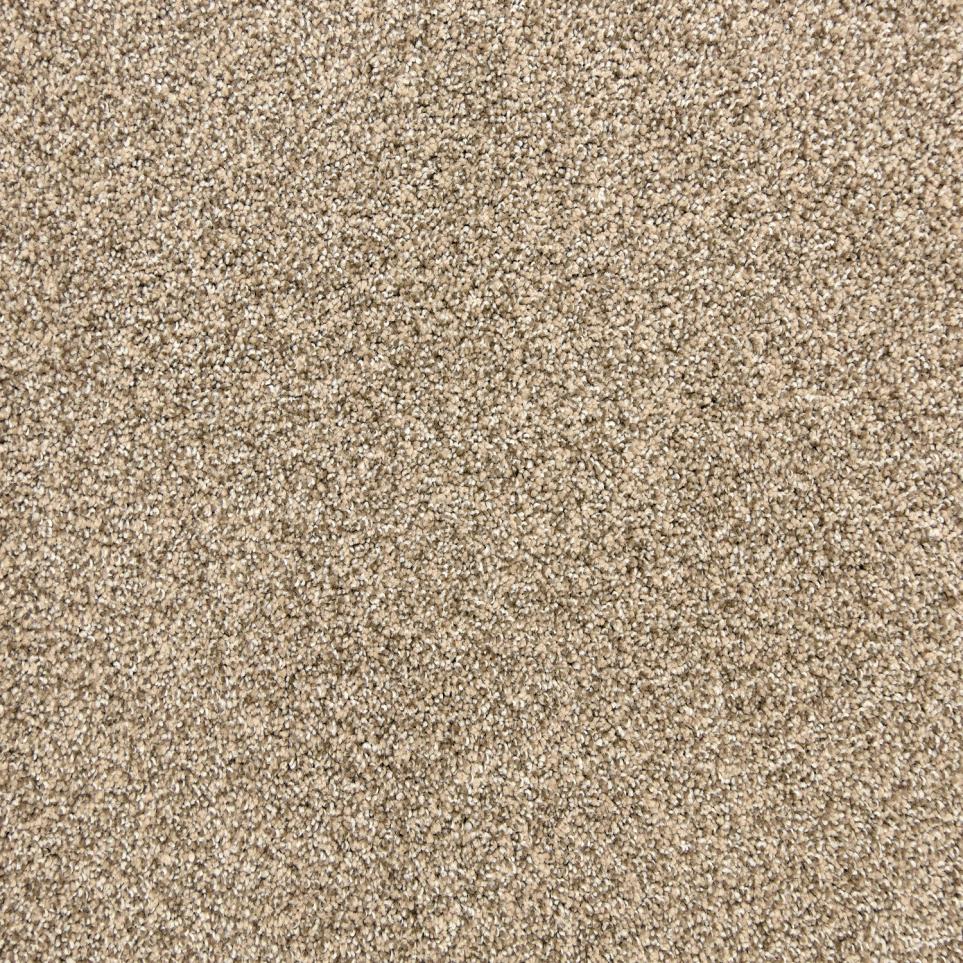 Textured Saxony Barn Wood Beige/Tan Carpet