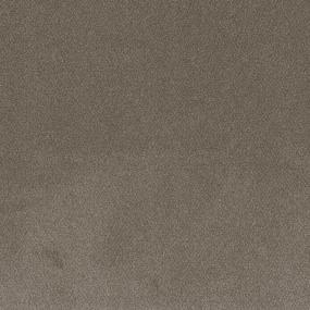 Textured Saxony New Addition Brown Carpet