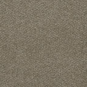 Textured Saxony New Addition Brown Carpet