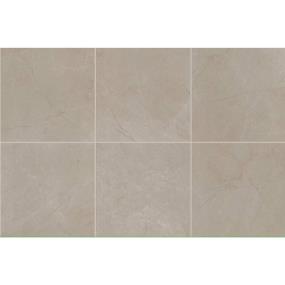 Tile Coliseum Gray Polished Gray Tile