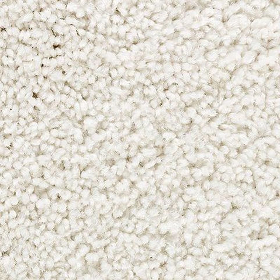 Textured Saxony Buffed Beige/Tan Carpet