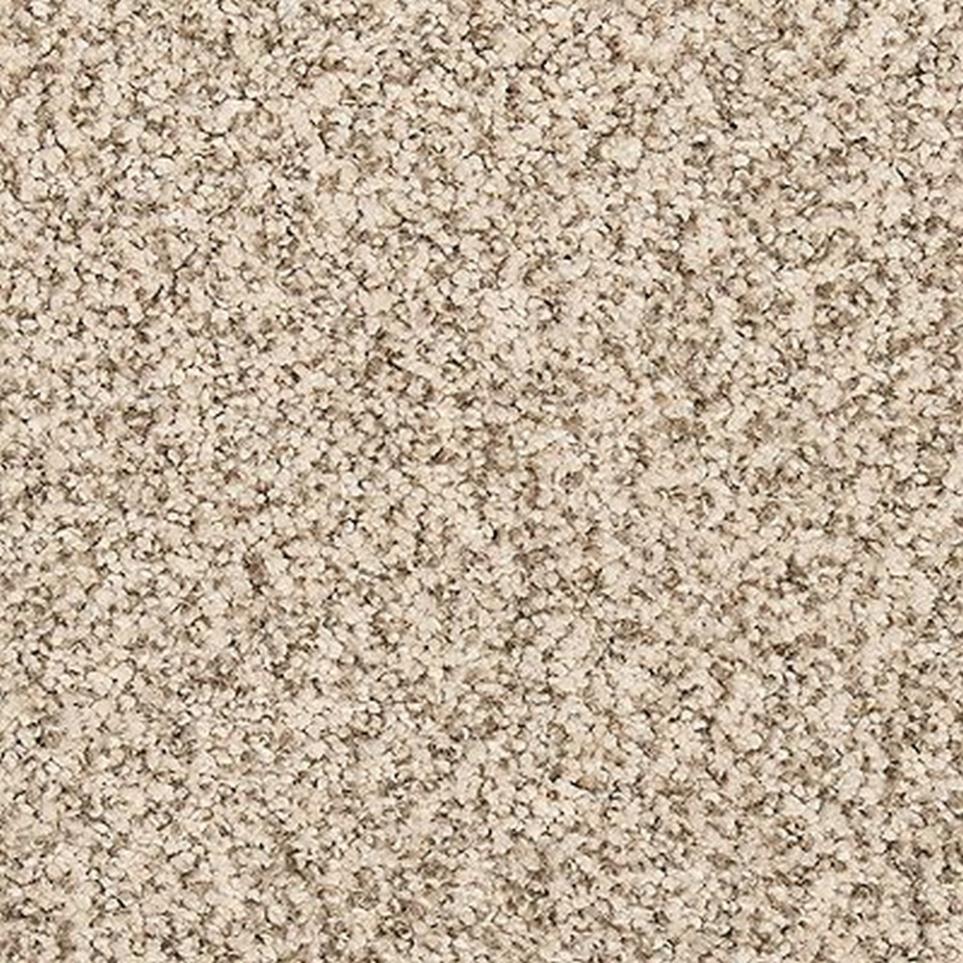 Textured Saxony Antique Beige/Tan Carpet