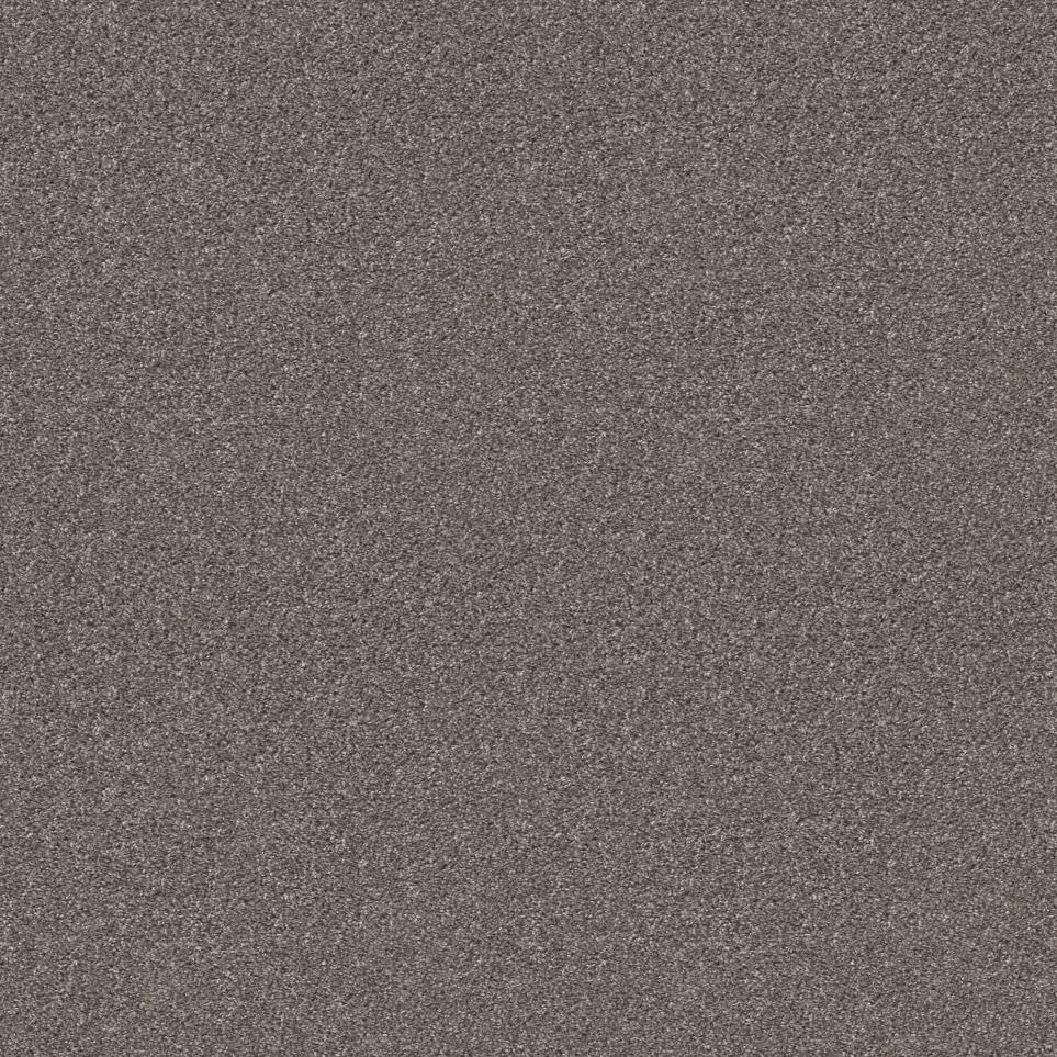 Texture Bountiful Mixture Gray Carpet