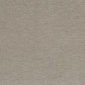 Pattern Tawny Bark Beige/Tan Carpet