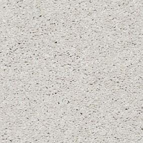 Textured Saxony Palisade White Carpet