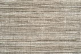 Berber Putty Beige/Tan Carpet