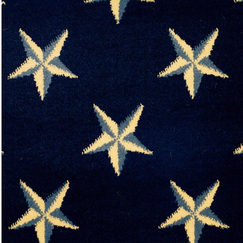 Pattern Navy Blue Carpet