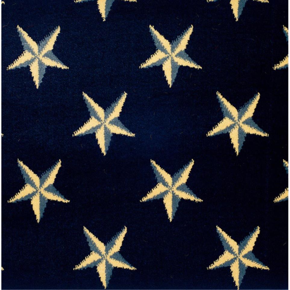 Pattern Navy Blue Carpet