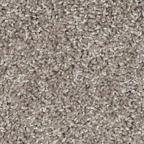 Texture Truffle Beige/Tan Carpet