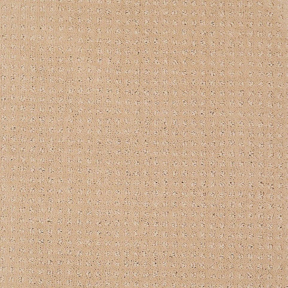 Parchment Beige/Tan Carpet