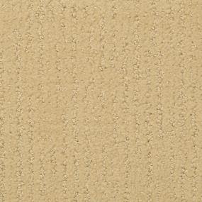 Pattern Twine Beige/Tan Carpet
