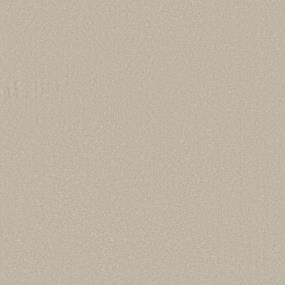 Textured Saxony Sateen Beige/Tan Carpet