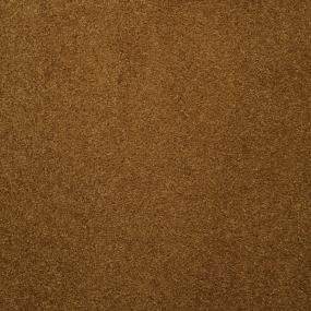 Casual Texture Gourd Beige/Tan Carpet