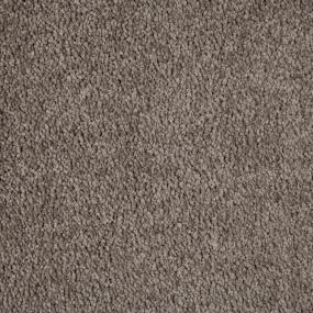 Textured Saxony Villa Brown Carpet