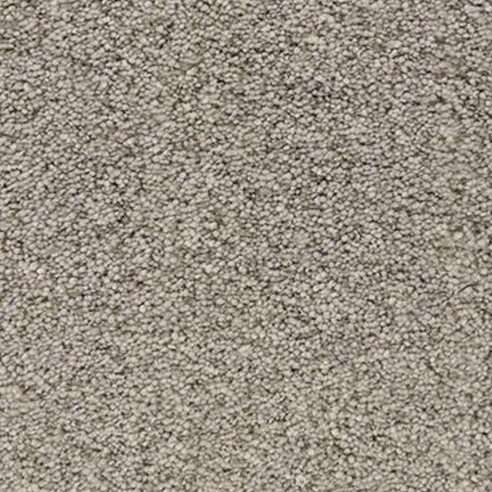 Textured Saxony Sea Otter Brown Carpet