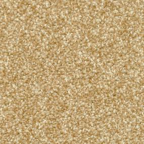 Casual Texture Etching Beige/Tan Carpet