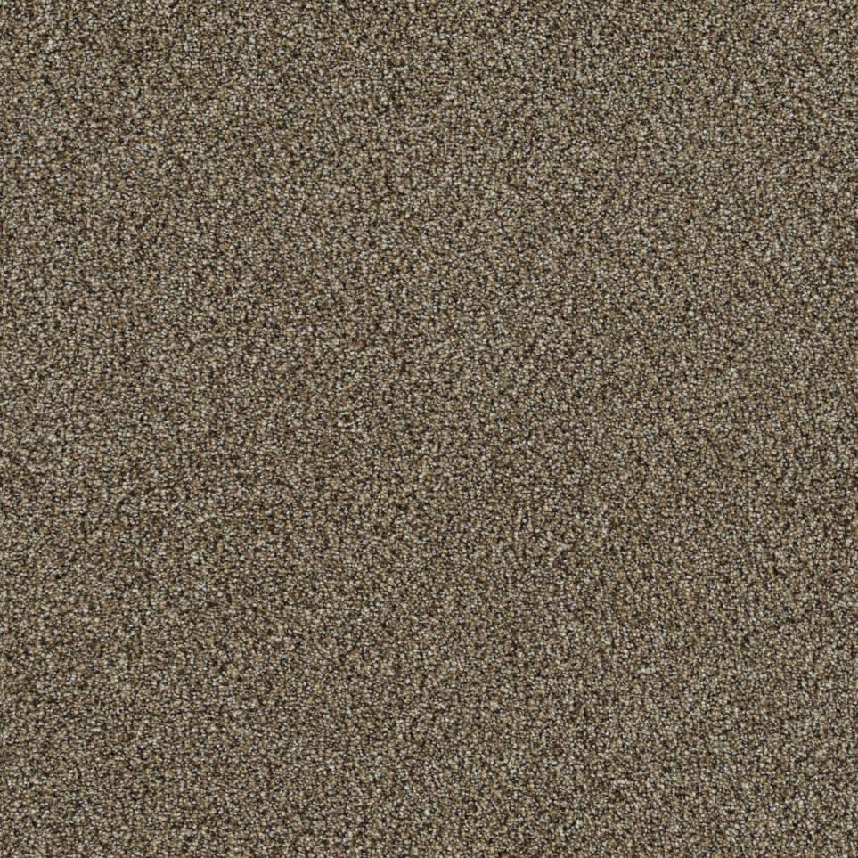Textured Saxony Masterpiece Brown Carpet