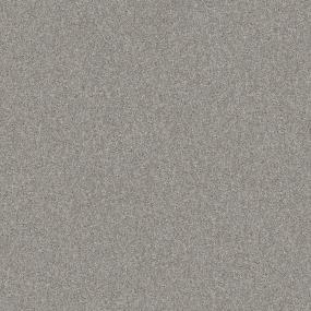 Casual Texture Dolphin Gray Carpet