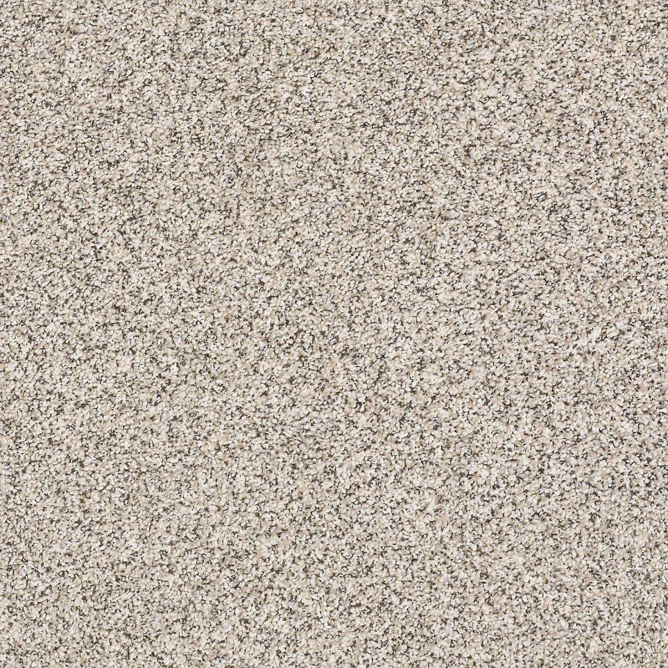 Texture Angora Beige/Tan Carpet