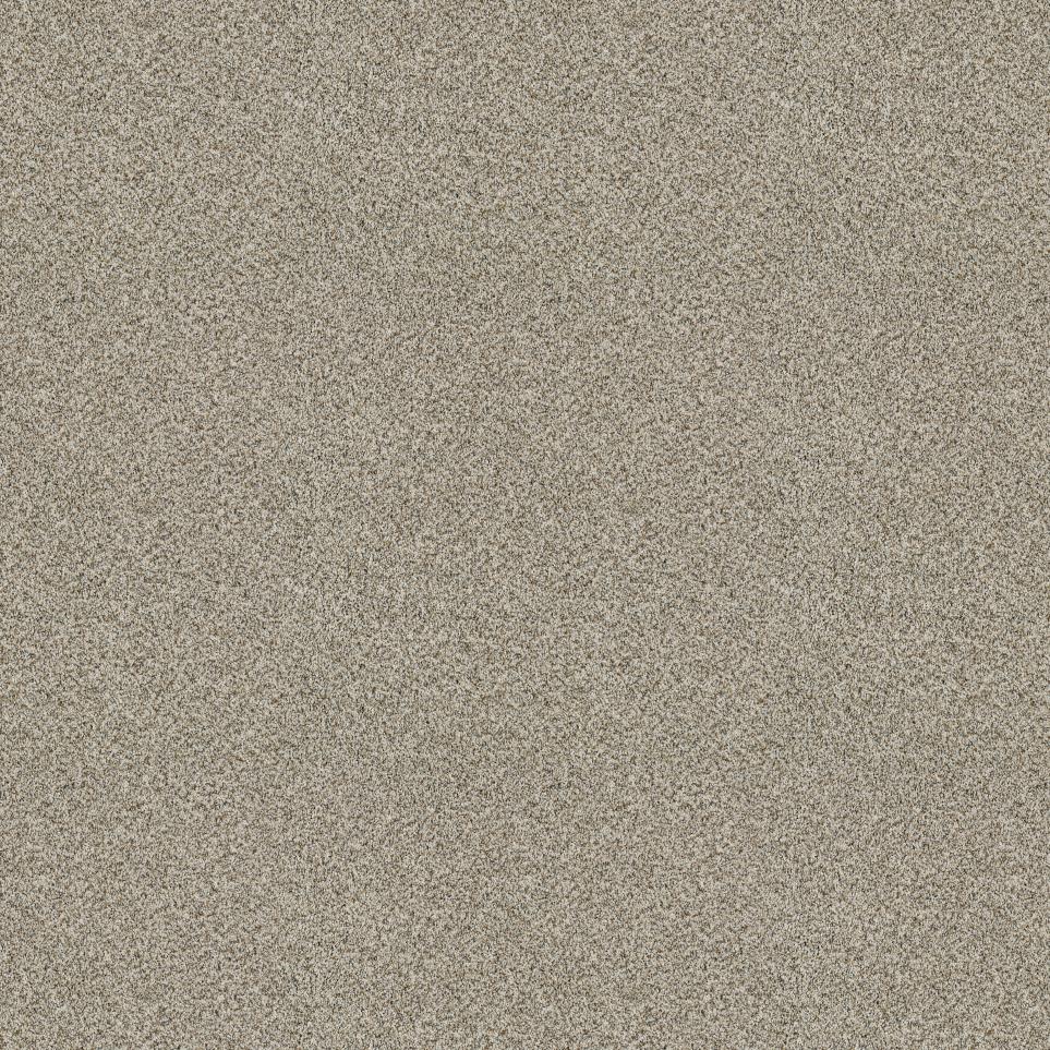 Texture Heritage Beige/Tan Carpet