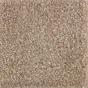 Textured Saxony Weathered Timber Beige/Tan Carpet