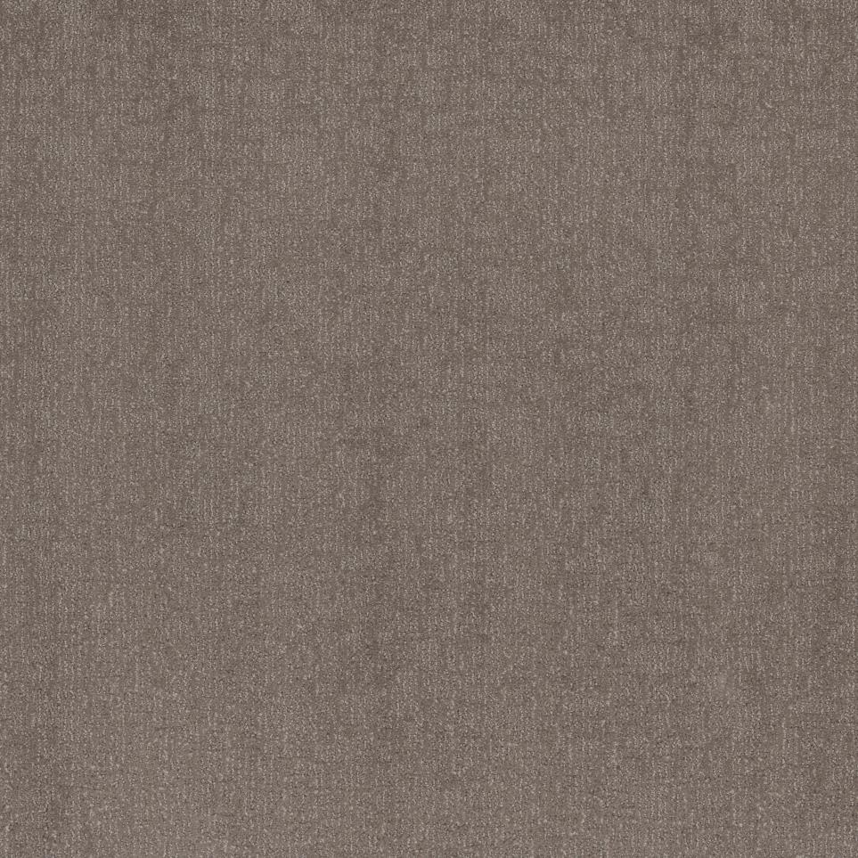 Pattern Terra Earth Beige/Tan Carpet