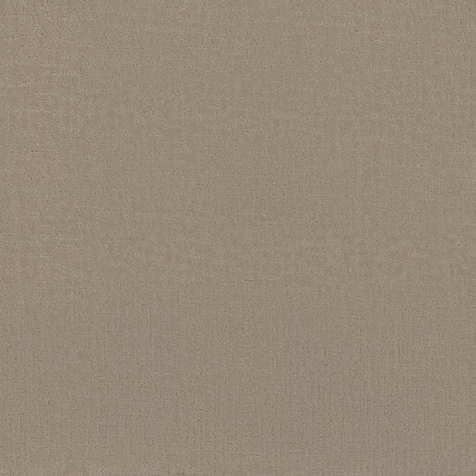 Pattern Stunning Beige/Tan Carpet