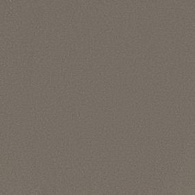 Textured Saxony Grey Skies Beige/Tan Carpet
