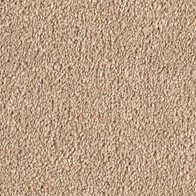 Textured Saxony Dynasty Beige/Tan Carpet