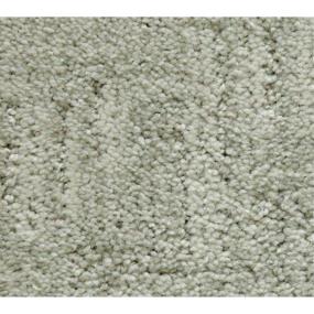 Pattern Platinum Gray Carpet
