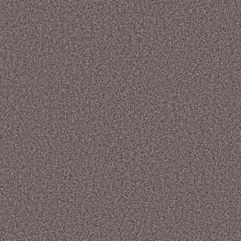 Textured Saxony Reverie Gray Carpet
