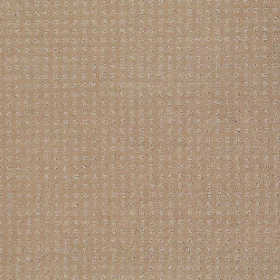 Pattern Catnip Beige/Tan Carpet