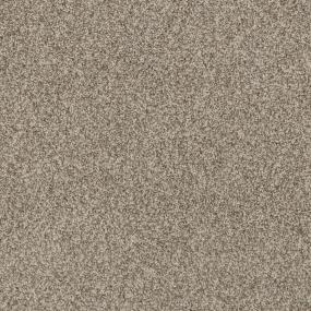 Casual Texture Cocoa Beige/Tan Carpet