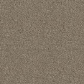 Textured Saxony Latte Beige/Tan Carpet