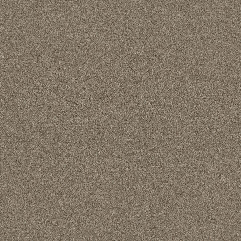Texture Latte Beige/Tan Carpet