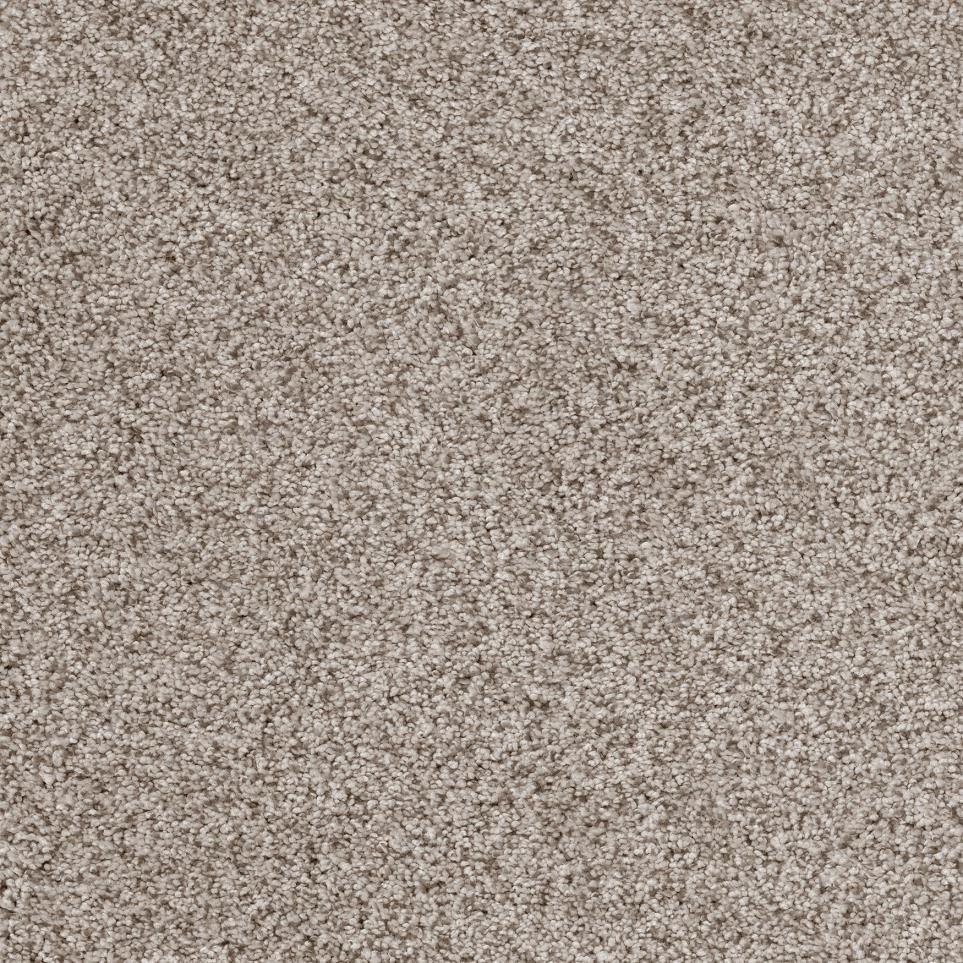 Plush Malted Milk Beige/Tan Carpet