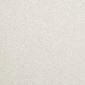 Textured Saxony Pearl White Carpet
