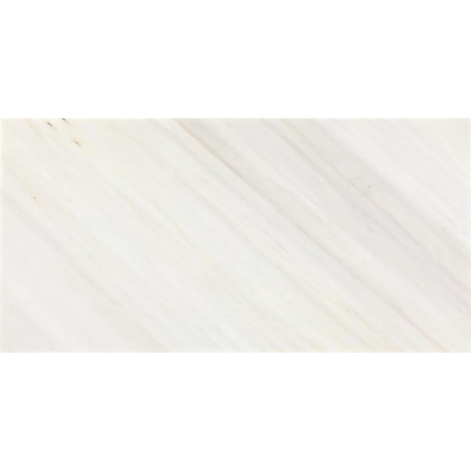 Tile Pacifica Polished Beige/Tan Tile