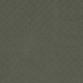 Pattern Wonder Gray Carpet