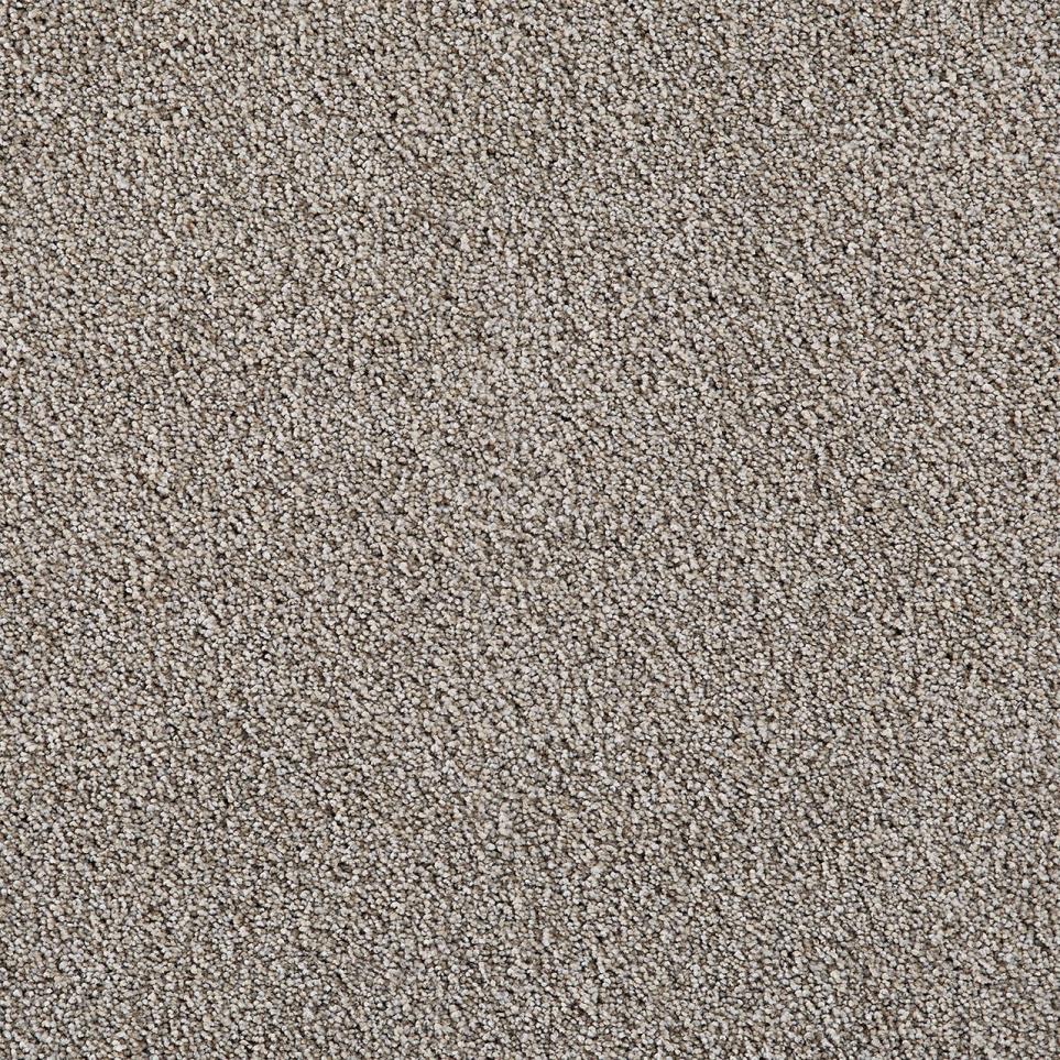Cut Pile Spotlight Gray Carpet