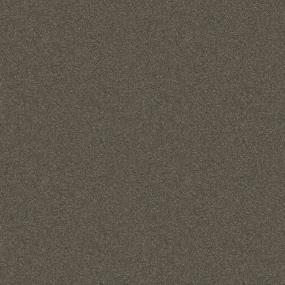 Casual Texture Earth Tone Brown Carpet