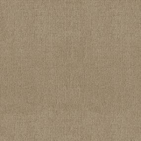 Pattern Caramello Beige/Tan Carpet