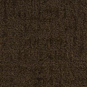 Pattern Dark Victory Brown Carpet