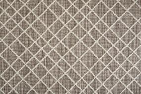 Pattern Desert  Carpet