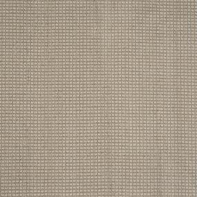 Loop Gobi Tan Beige/Tan Carpet