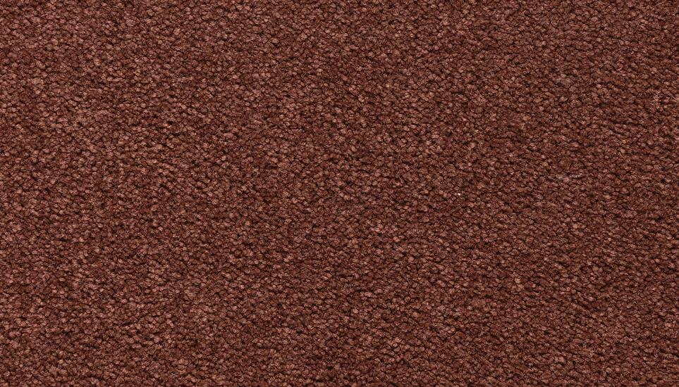 Textured Saxony Country Twill Brown Carpet