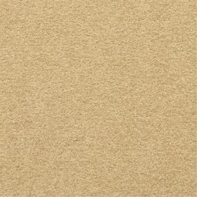 Casual Texture Remnant Beige/Tan Carpet