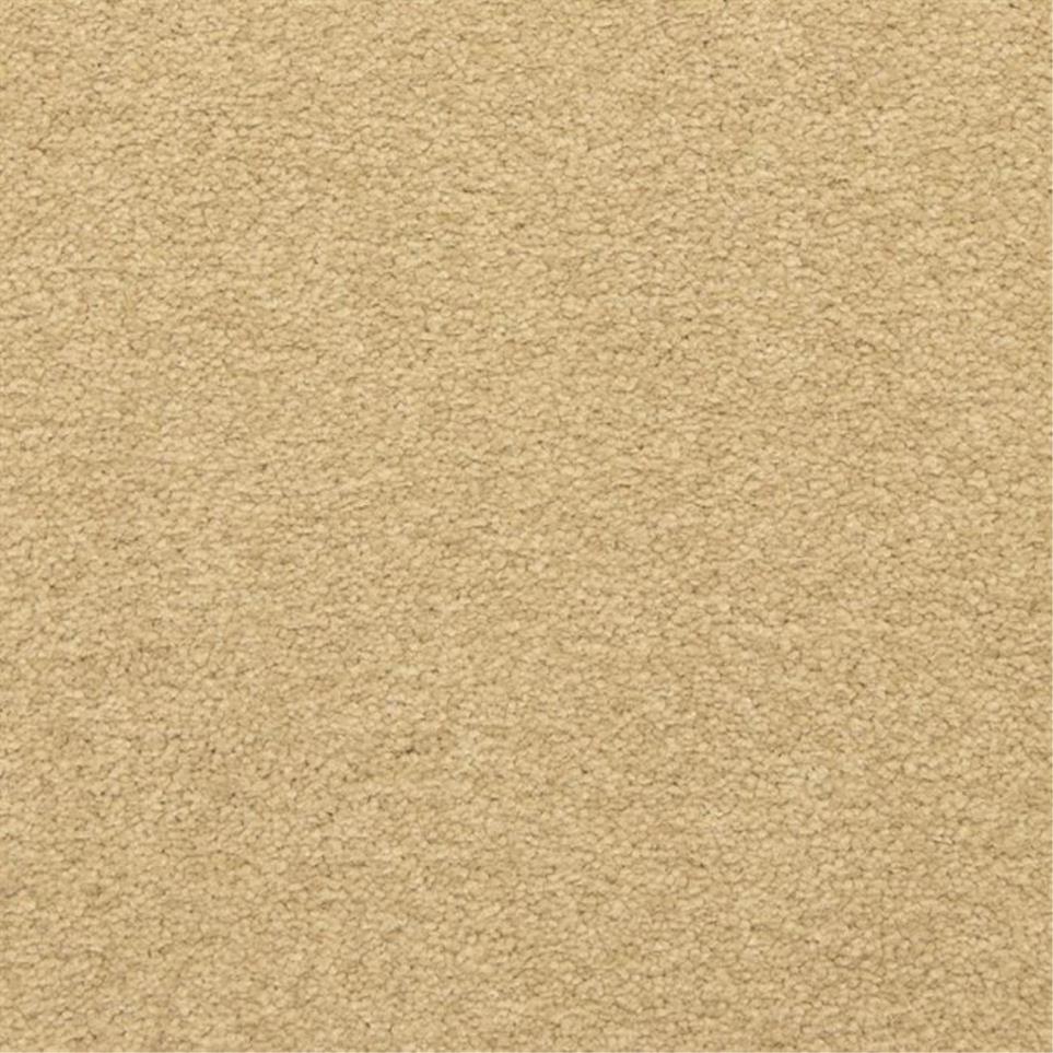 Casual Texture Remnant Beige/Tan Carpet