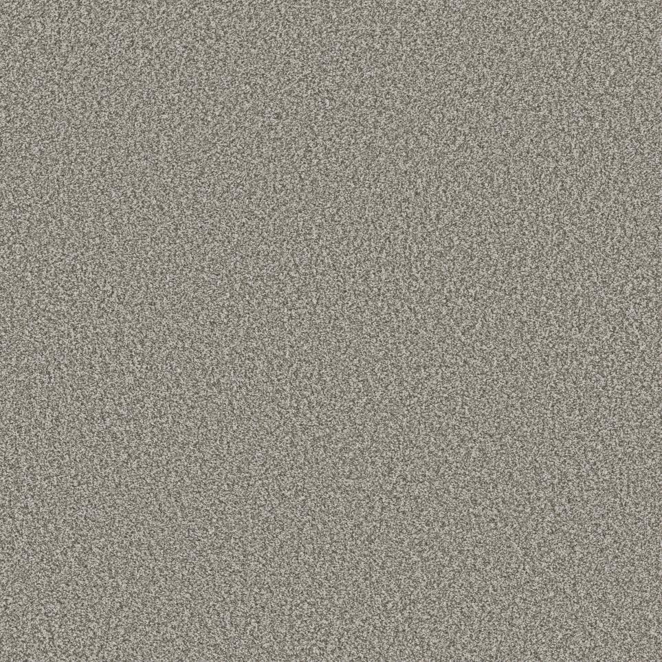 Textured Saxony Dust Storm Beige/Tan Carpet